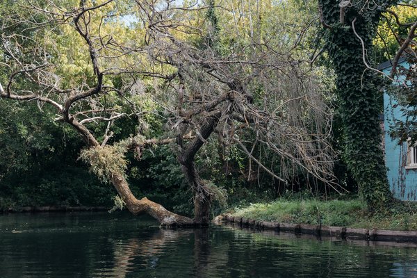 Comprendre le lien entre les hCG et le test de grossesse