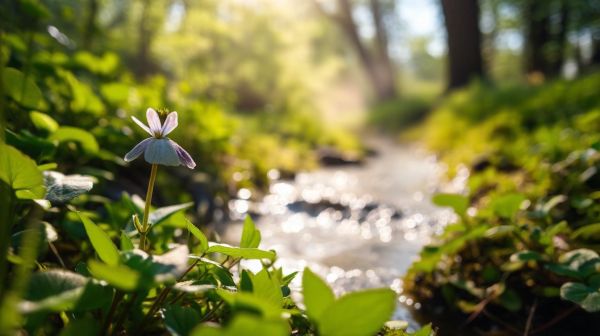 Soulagement des douleurs articulaires : les solutions naturelles