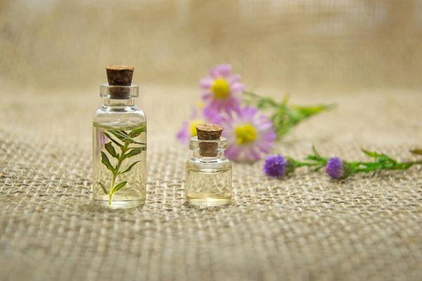 Formation en ligne en aromathérapie pour infirmiers : découvrez !